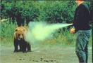 Bear spray is no joke Bear spray is no joke
