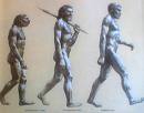 Evolution